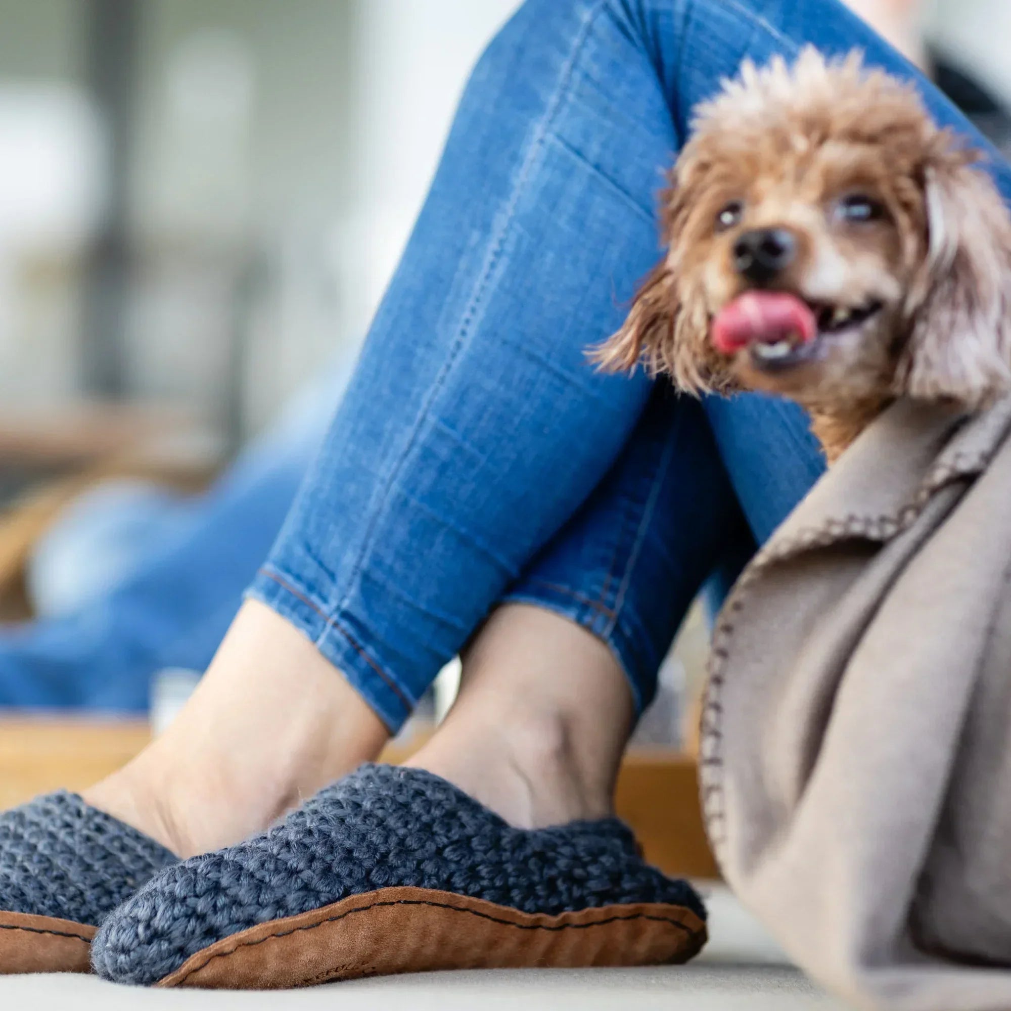 Woman wearing blue jeans and dark gray light wool slippers with a small brown dog sitting on her lap.