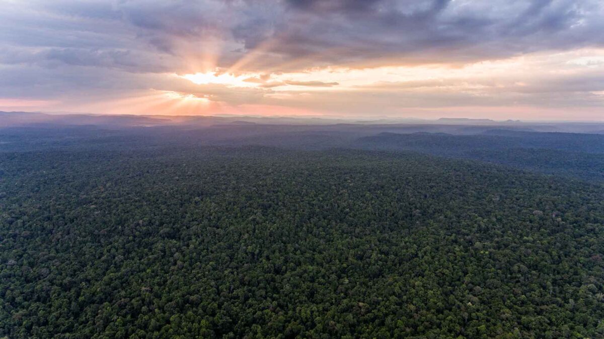 View across vast national park woodland in Cambodia