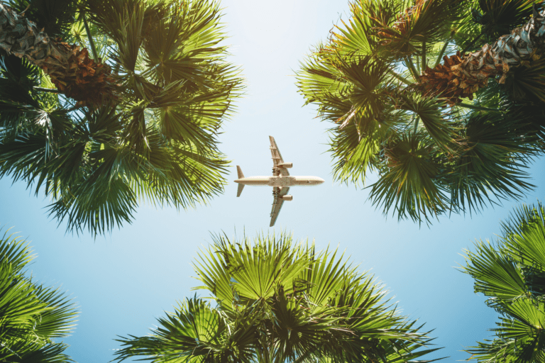 Aeroplane in flight over palm trees